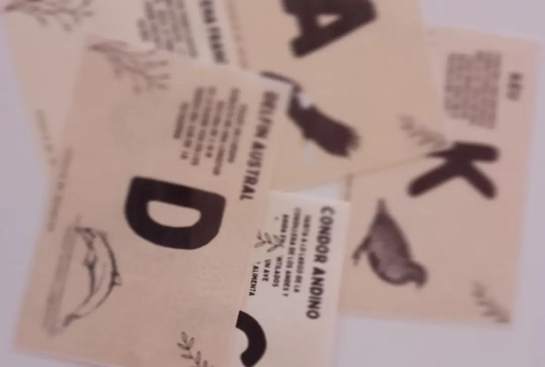 Fichas Abecedario Patagonia